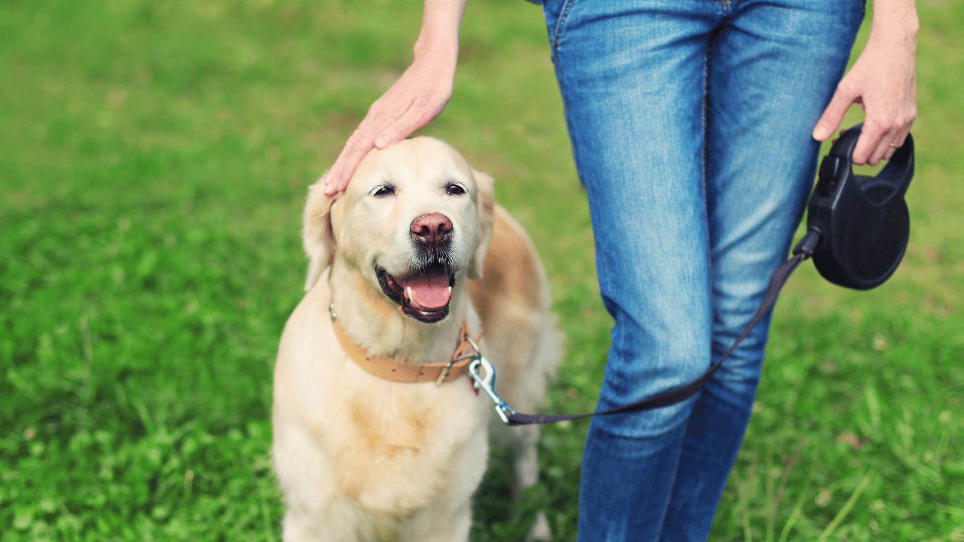 woman encouraging her dog's independence