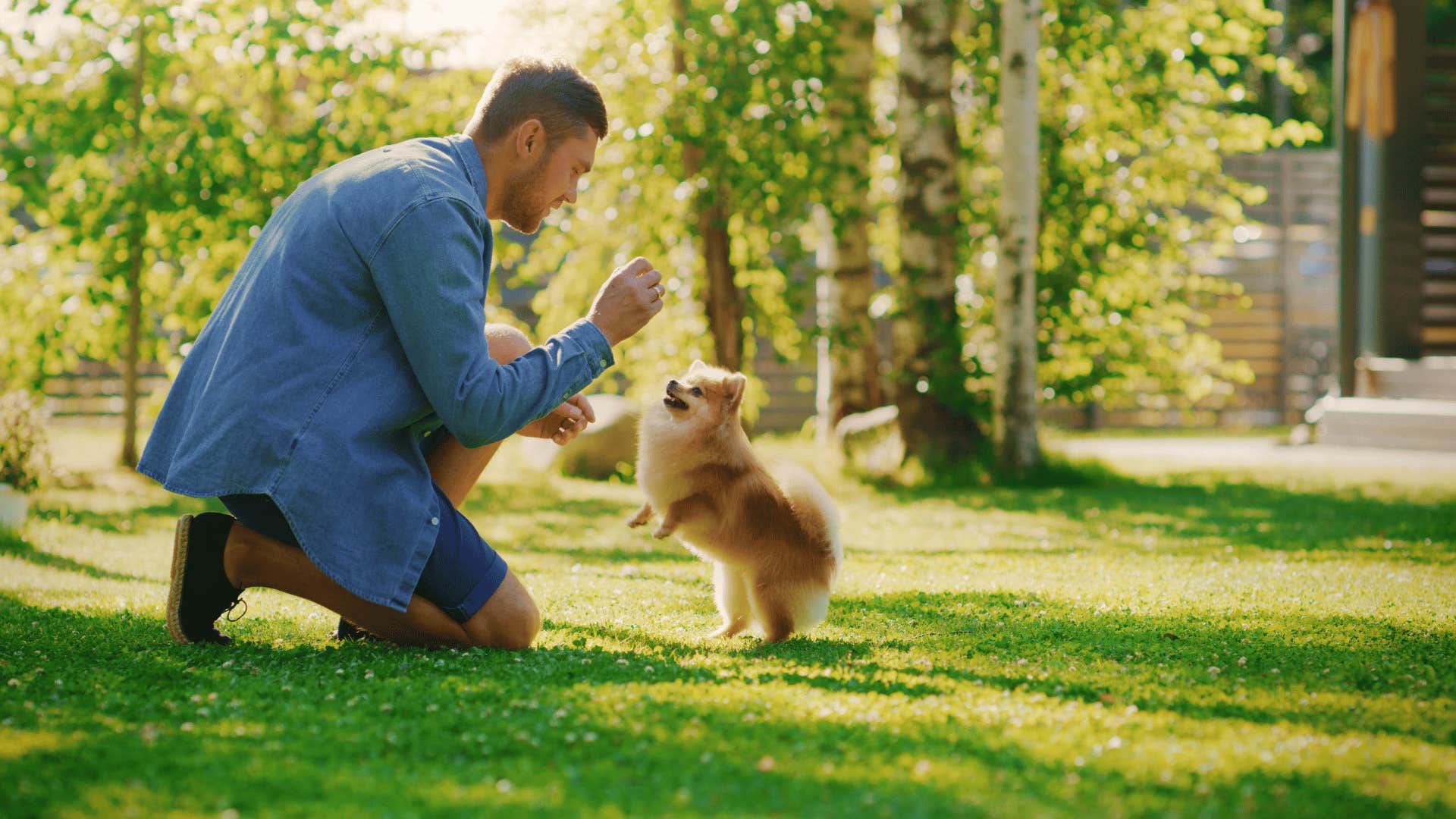 man playing with his dog