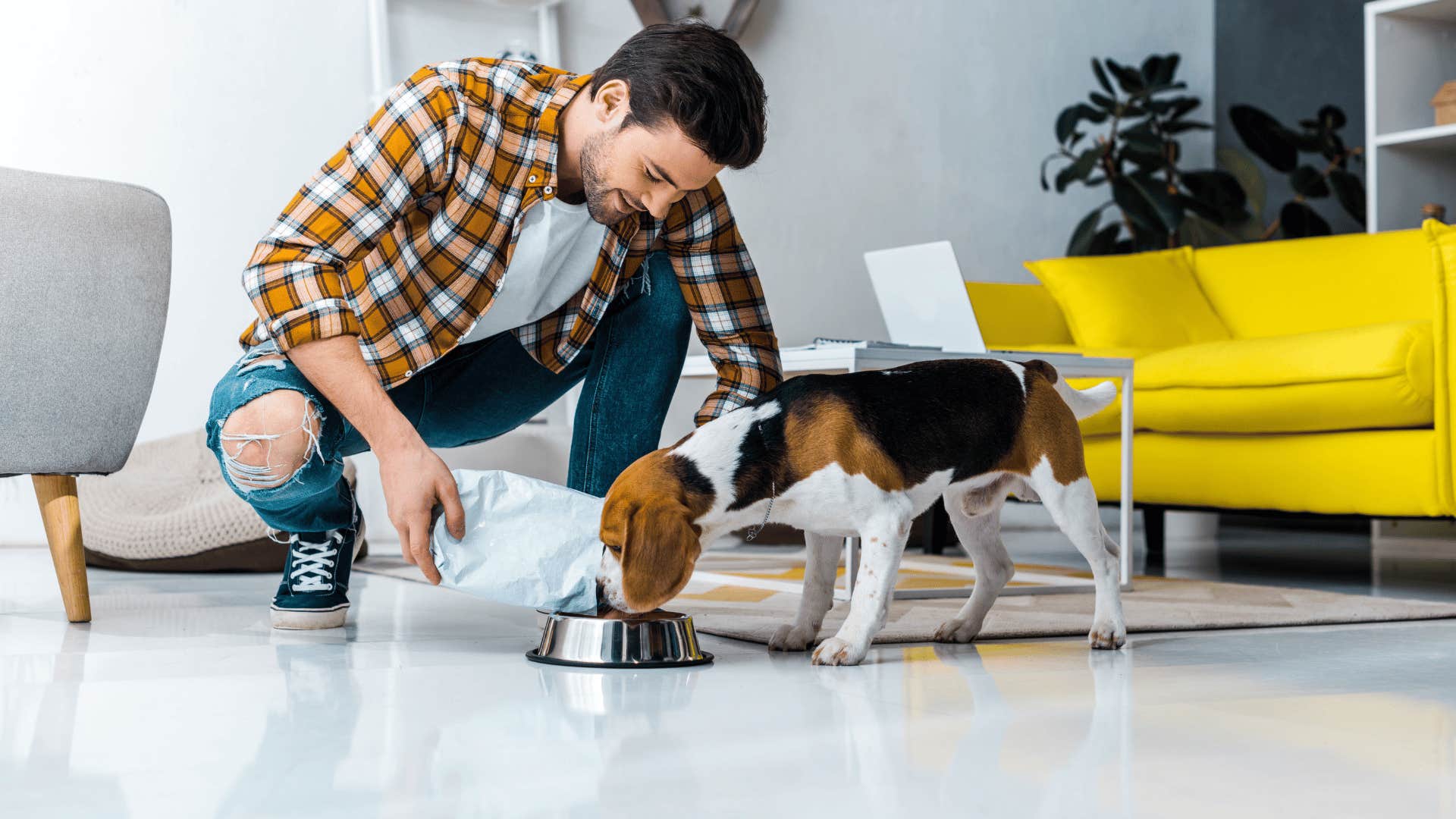 man giving his dog a consistent routine