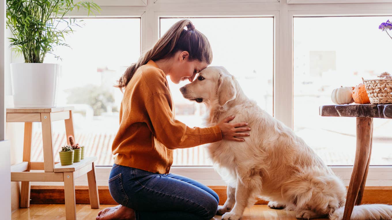 Dog protecting his owner's energy