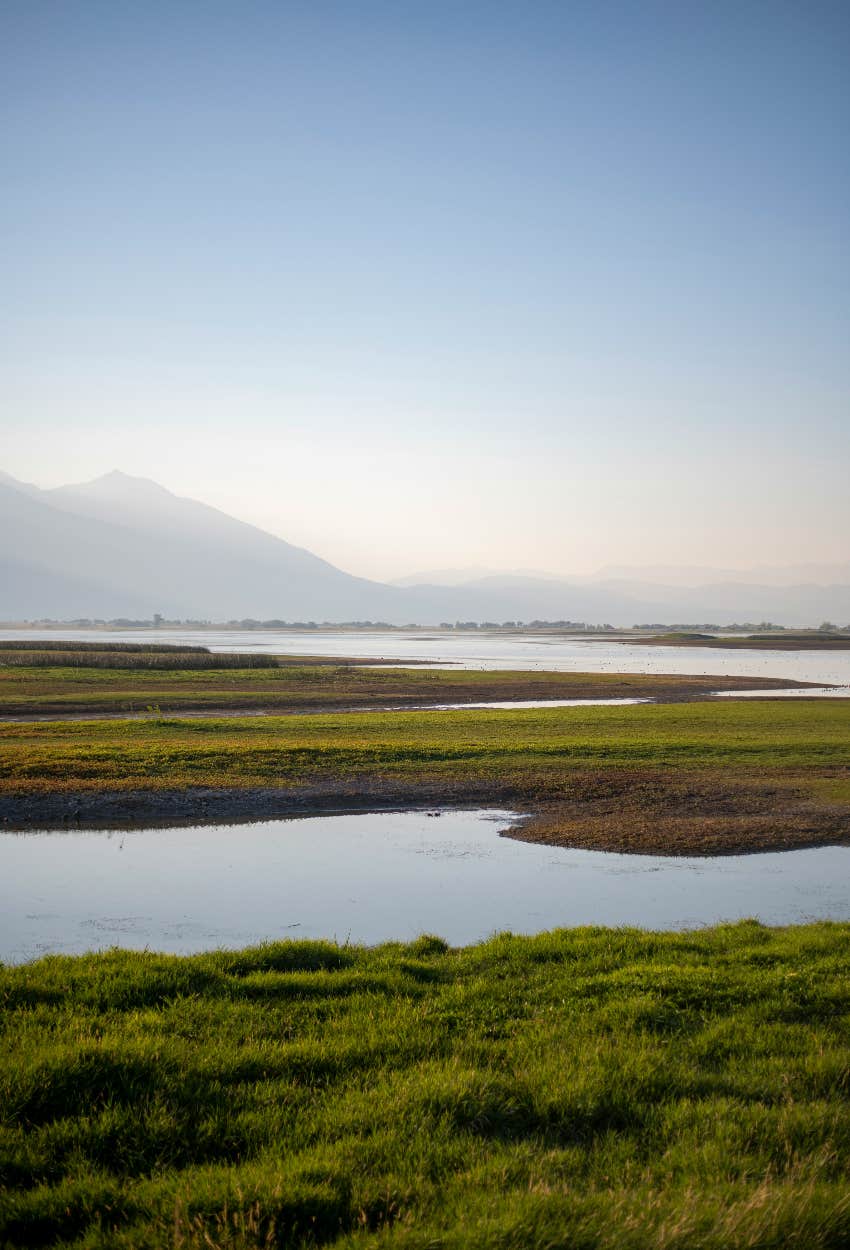 living near wetlands bad luck feng shui