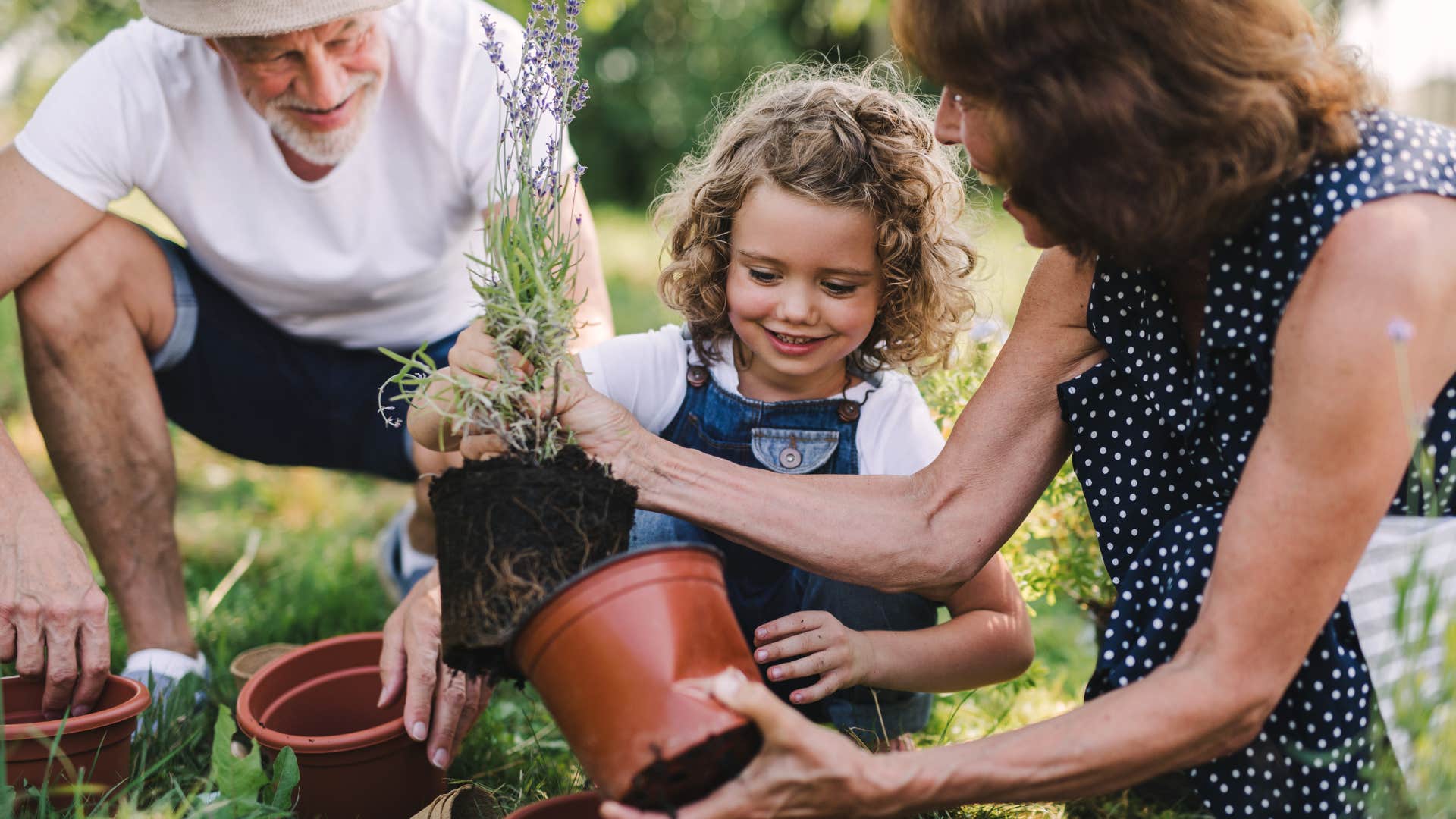 Grandparents pulling out a potted plant with their granddaughter.