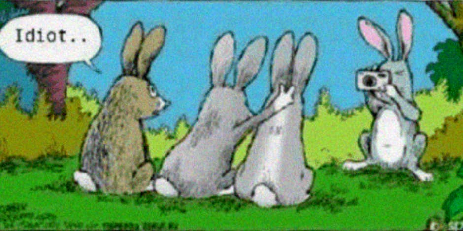 male and female bunny jokes