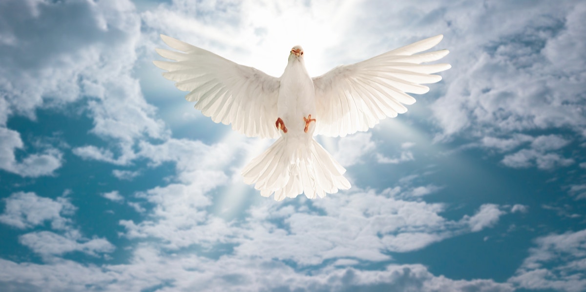holy spirit dove symbol