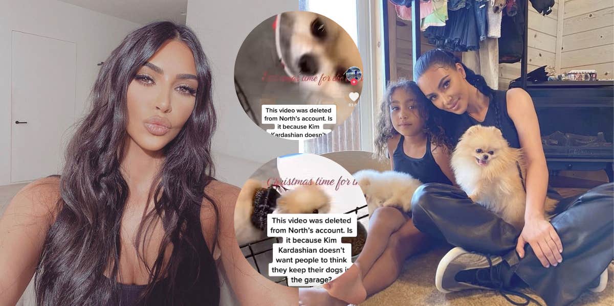 Kim Kardashian Allegedly Her Dogs In According To Deleted | YourTango