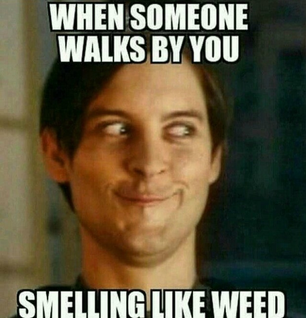 weed meme funny