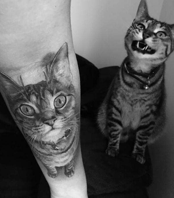 Got my cats head pattern tattooed on me today  rcats