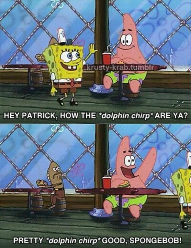 funny quotes by spongebob