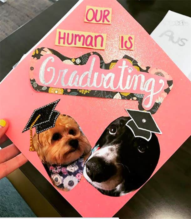 dog themed graduation cap