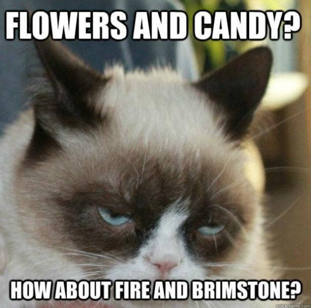 21 Best Grumpy Cat Memes And Funny Quotes About Love & Life