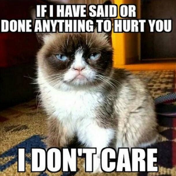 grumpy cat quotes disney