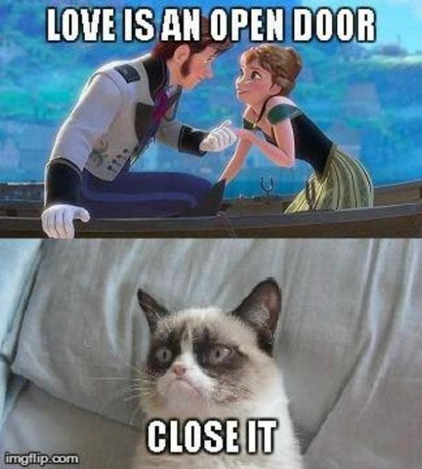 grumpy cat pictures with sayings