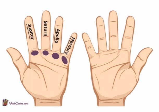 Palm reading. Hand Palm разница. The reading Palms. Palm meaning. Fire hand Shape Palmistry.