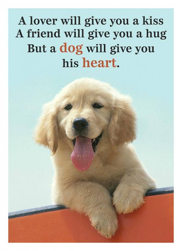 thursday dog funny images and quotes