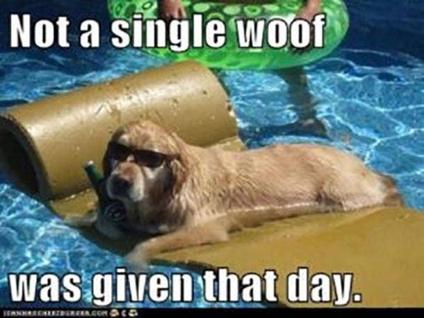 50 Funny Pool Memes To Get You Excited For The First Day Of Summer   YourTango