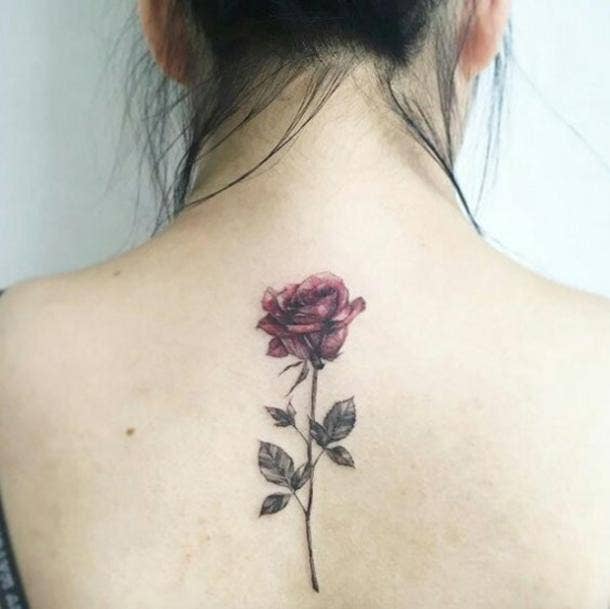 55 Free Download Tattoo Simple Rose HD Tattoo