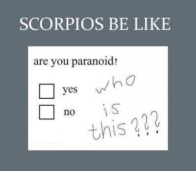 50 Best Scorpio Memes That Describe This Zodiac Sign | YourTango
