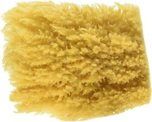 How Sea Sponges Are Processed for Use - Acme Sponge Company