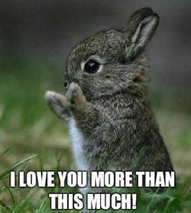 100 Best I Love You Memes That Are Cute Funny Romantic Yourtango
