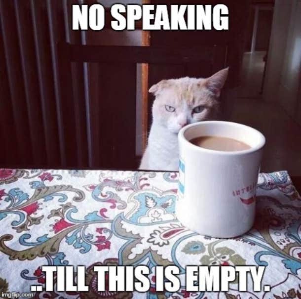 80 Funny Coffee Memes For National Coffee Day Yourtango