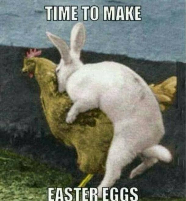 easter bunny memes