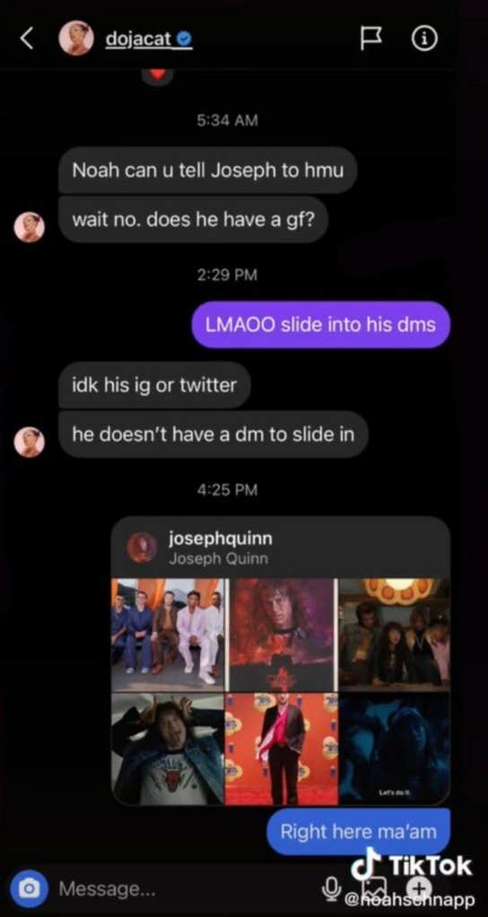 Doja Cat Calls Noah Schnapp A  Snake  For Leaking Their DMs - 53