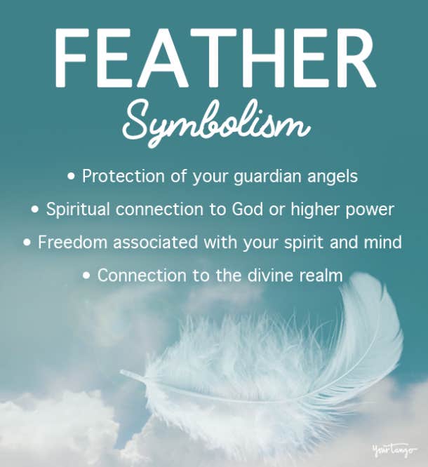 Brown Feather Meaning And Spiritual Symbolism