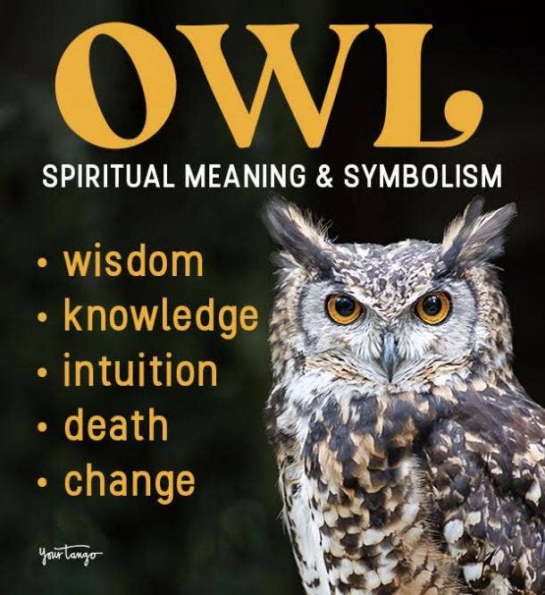 native american owl symbols