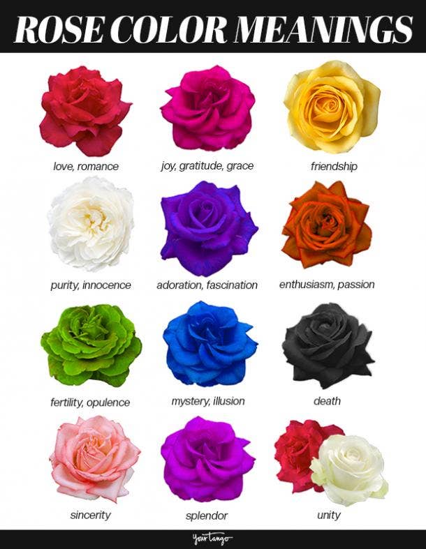 The Meaning Of Roses By Colour