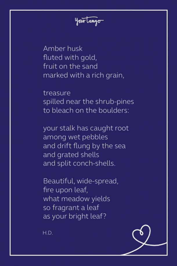Sexy poem sea poppies by hd. sex poems. 