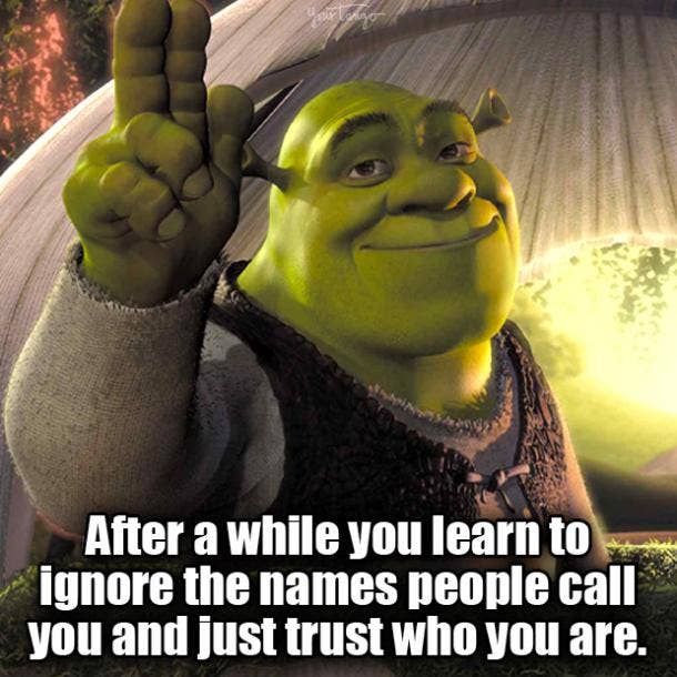shrek and fiona in love quotes