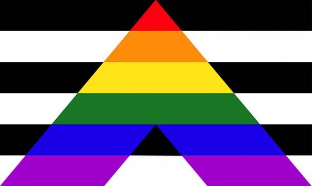 16 Sexuality Flags And Their Meanings Yourtango 1471