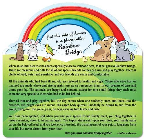 Dunia Belajar Dog Rainbow Bridge Meme