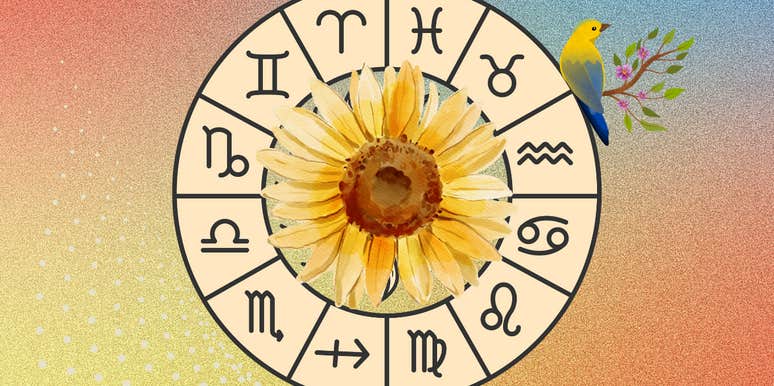 Horoscope For Each Zodiac Sign On November 23, 2024