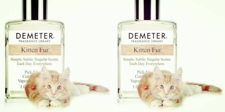 Demeter fragrance hotsell kitten fur