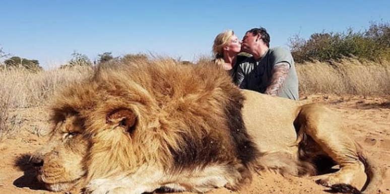 Who Are Darren And Carolyn Carter New Details On Couple Who Took Romantic Photo In Front Of Dead Lion They Killed Yourtango