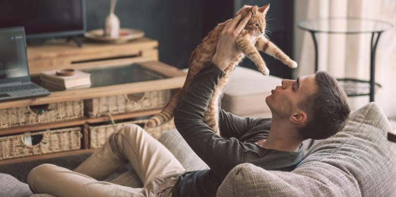 5 Best Low Maintenance Pets For Apartment Living Yourtango