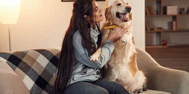 Dog owner sitting with their pet. 