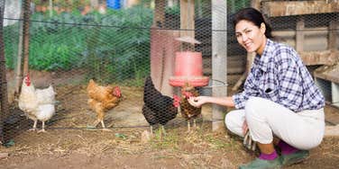 Woman chicken-sizing