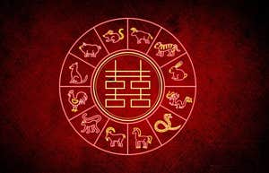 Every Chinese Zodiac Sign's Weekly Horoscope For May 27 - June 2