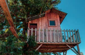 family treehouse built in backyard