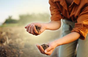 Woman touching the soil on land 