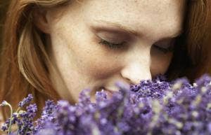 dried lavender